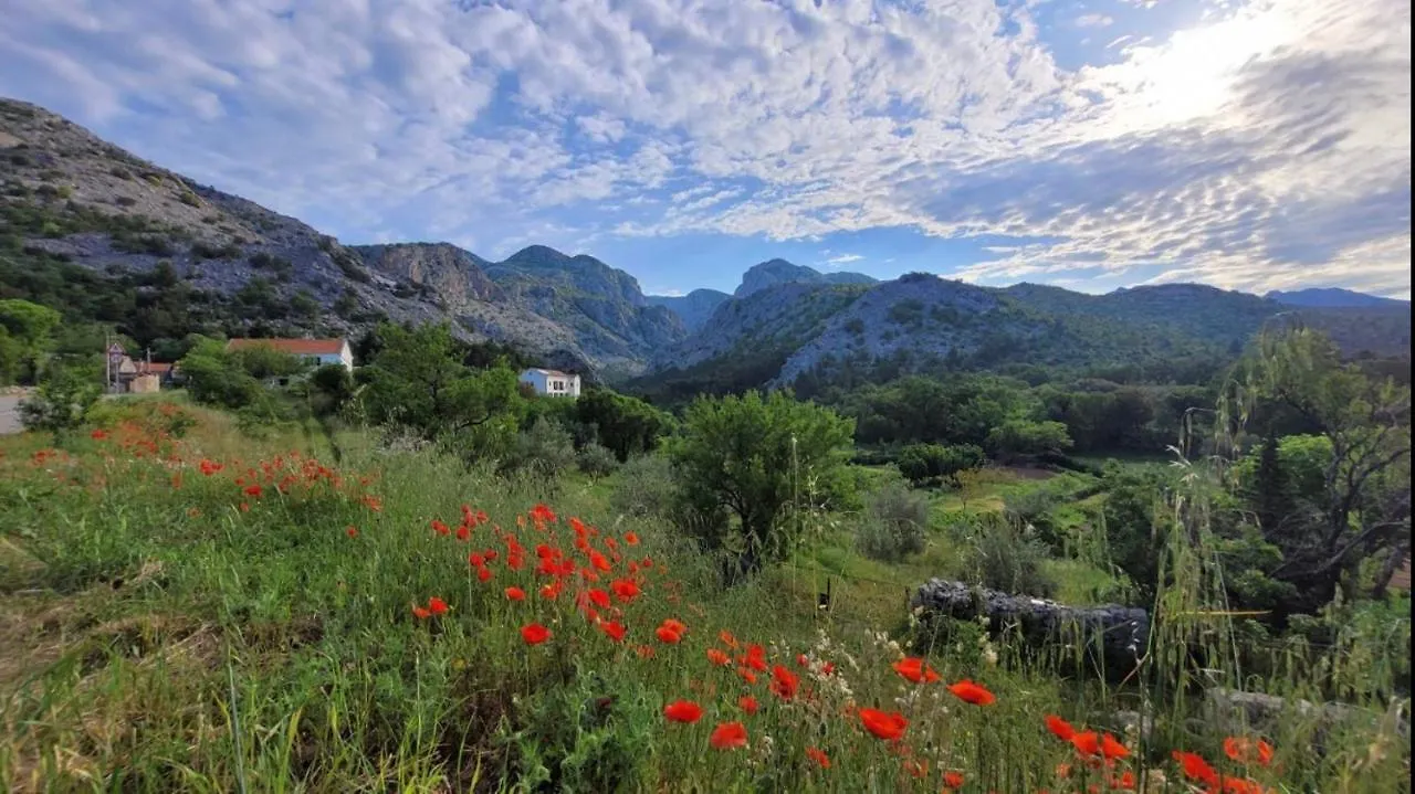 Couette-café Apartments Paklenica Starigrad Paklenica