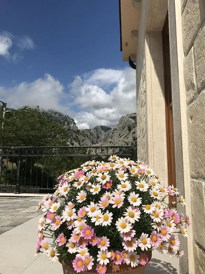 **** Nocleg ze śniadaniem Apartments Paklenica Starigrad Paklenica Chorwacja